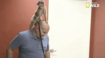 nat geo wild pets GIF by Dr. K's Exotic Animal ER
