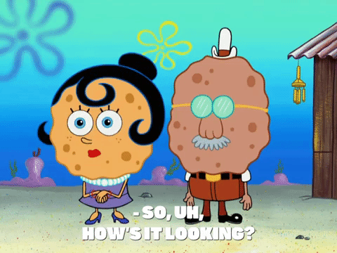 season 8 spongebob's runaway roadtrip: a squarepants family vacation GIF by SpongeBob SquarePants