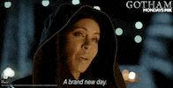 gotham GIF by Fox TV