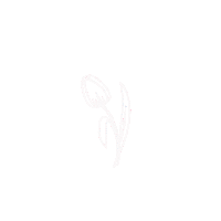White Tulip Sticker by Bloomeffects