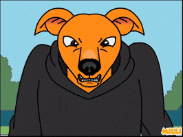 Angry Shiba Inu GIF by MILLI