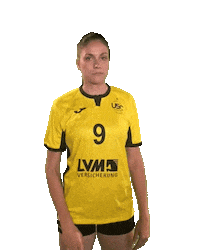 USC_Muenster ball volleyball easy vbl Sticker