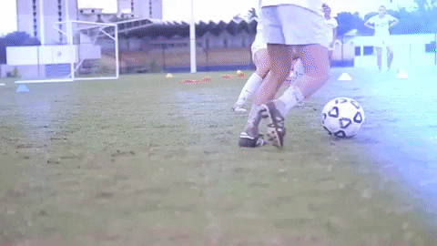 Golden Eagles Oru GIF by Oral Roberts University