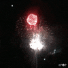 4th of july fireworks GIF by GoPop