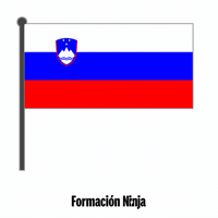 Flag Bandera GIF by Formación Ninja