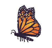 Mother Nature Earth Sticker by zandraart