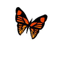 Animation Fun Sticker