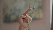 you do you final season GIF by Portlandia