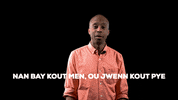 Haitian Flag GIF by Bernardson
