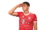 Bayern Munich What Sticker by Bundesliga