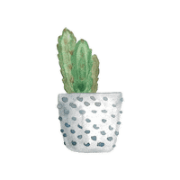 helloginger plants cactus succulent pflanzen Sticker