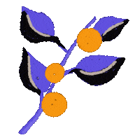 ChillPills flower orange plant crazy plant Sticker