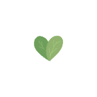 Heart Mexico Sticker by Cerveza Victoria