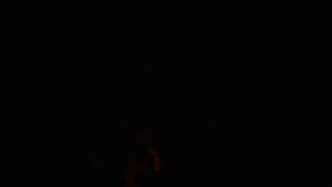 GIF by MUTEK.MX