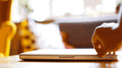Hungry Food GIF by Papa John’s