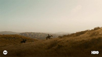 Season 3 GIF by Westworld HBO