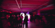 Electronic Dance Music Edm GIF by Meow Wolf