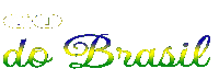 Copa Do Mundo Futebol Sticker