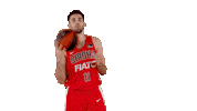 Liga Endesa Spinning Sticker by ACB
