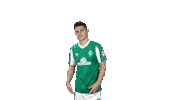 Milot Rashica Bundesliga Sticker by SV Werder Bremen
