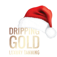 Christmas Logo Sticker by SOSUbySJ