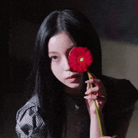 Flower GIF