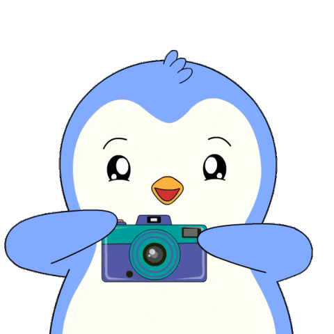 Penguin Smile Sticker by Pudgy Penguins