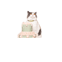 Marie Antoinette Cat Sticker by Cheshire & Wain