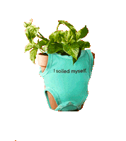 Plant Keepgrowing Sticker by MiracleGroCanada