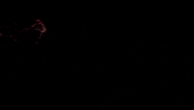 Buccaneers GIF by GoBarryBucs