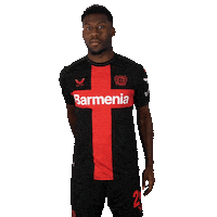 Bayer 04 No Sticker by Bayer 04 Leverkusen