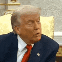 News Trump GIF