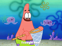 season 3 GIF by SpongeBob SquarePants