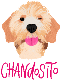 Dog Text Sticker by cebrazul