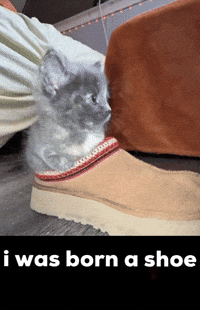 King Von GIF