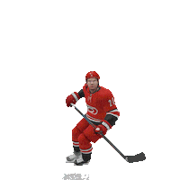 Celebrate Carolina Hurricanes Sticker by EASPORTSNHL