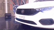 nuevo fiat GIF by El Hormiguero