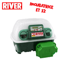 Eggs Chicks Sticker by River Systems