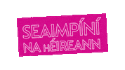 Croke Park Sport Sticker by TG4TV