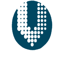 visualsoftware giphygifmaker tecnologia da informação visual software logo visual Sticker