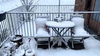 Snow Blankets Parts of Netherlands as European Cold Snap Continues