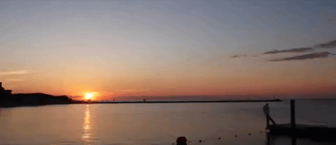 massachusetts GIF