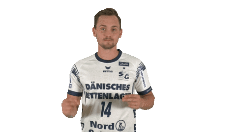 Handball-Bundesliga Dance Sticker by LIQUI MOLY HBL