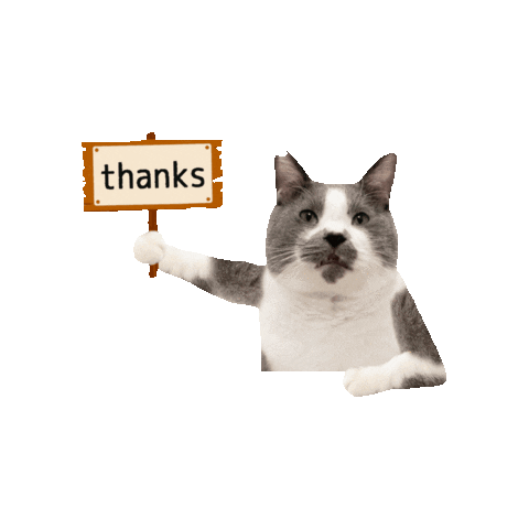 kumaokamako giphygifmaker cat ねこ 保護猫 Sticker