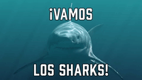 ¡Vamos Los Sharks!