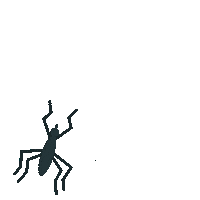 Summer Sticker by Alfred Schellenberg GmbH