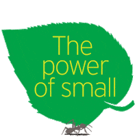 timetochange leaf mental health small ant Sticker