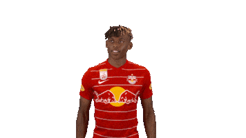 Thanks Thank You Sticker by FC Red Bull Salzburg