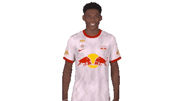 Red Bull Yes Sticker by FC Red Bull Salzburg