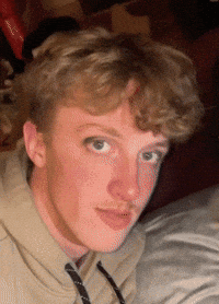 The Horse Horses GIF